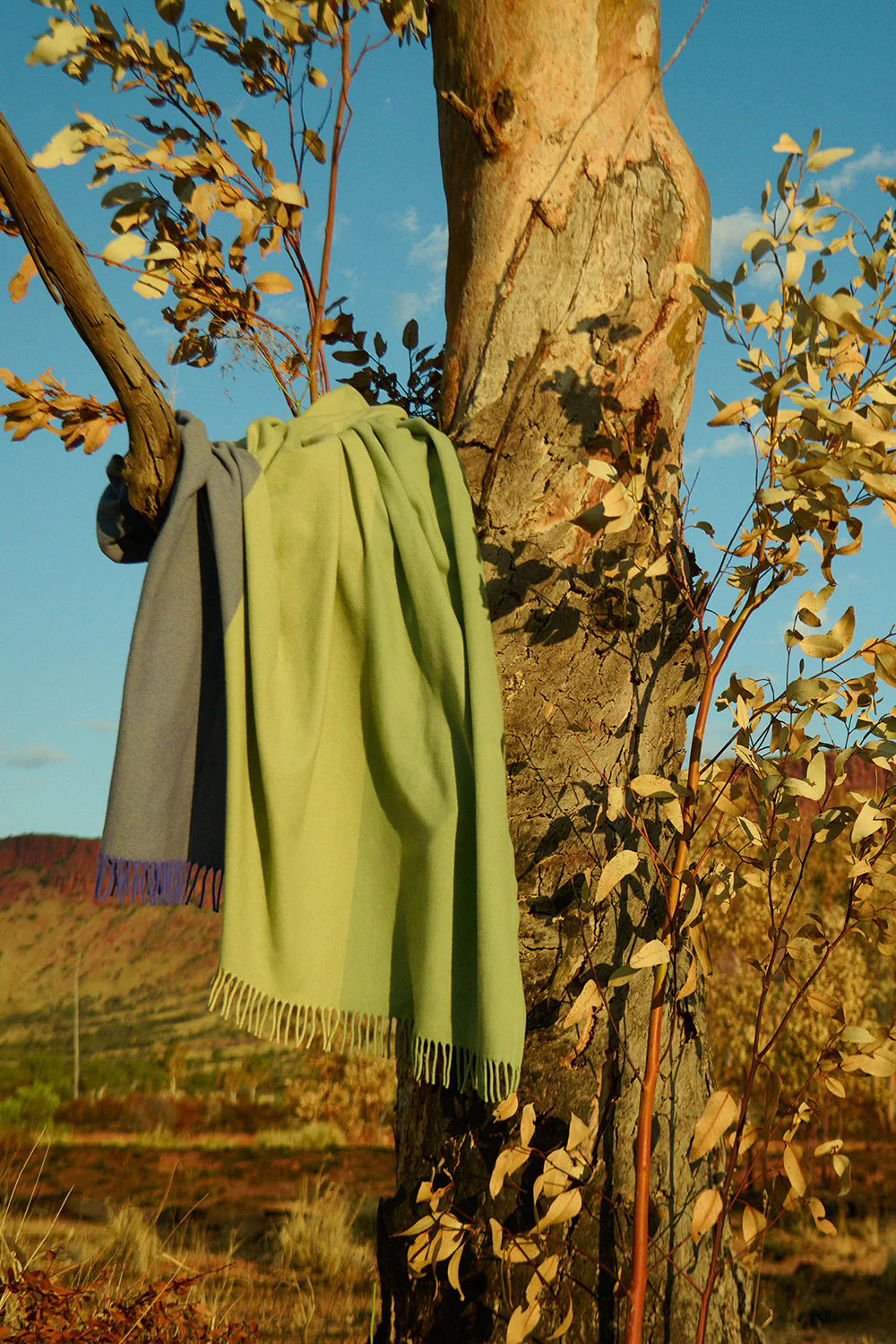 Fiona Lynch Desert Field Throw | Simpson - Image 3