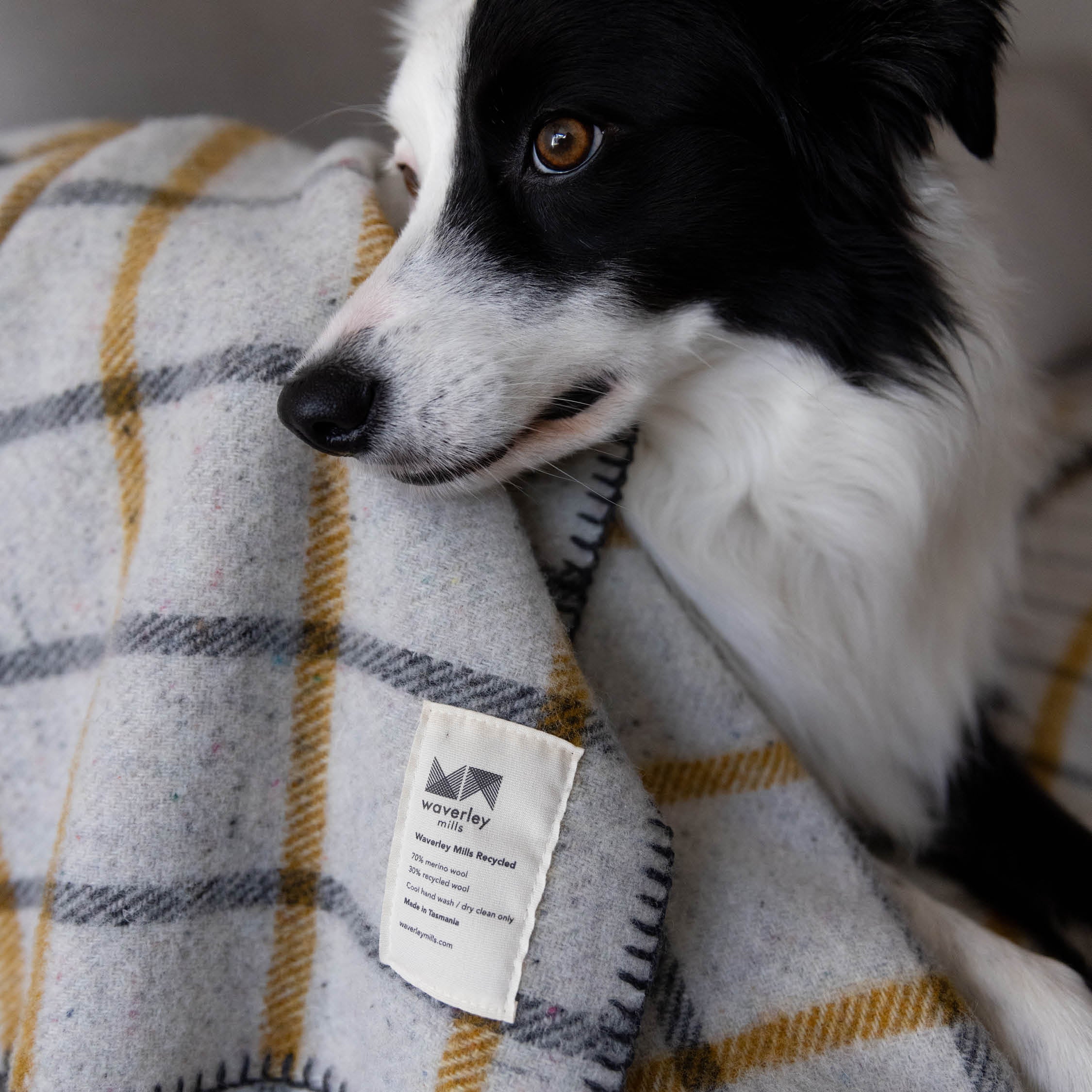 Grid Recycled Wool Pet Blanket in Charcoal - Image 3