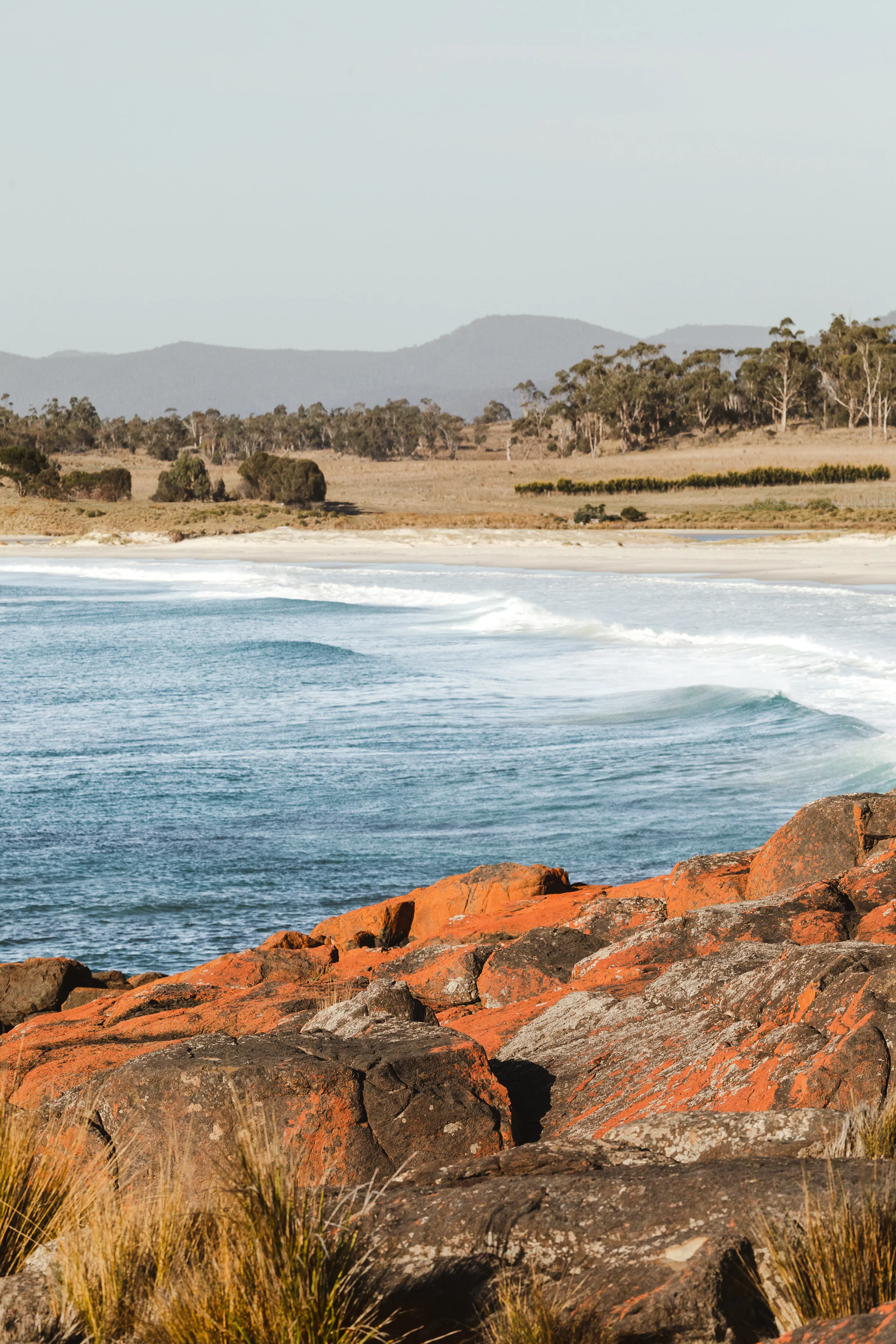 Terrain Throw Bay of Fires - Image 4