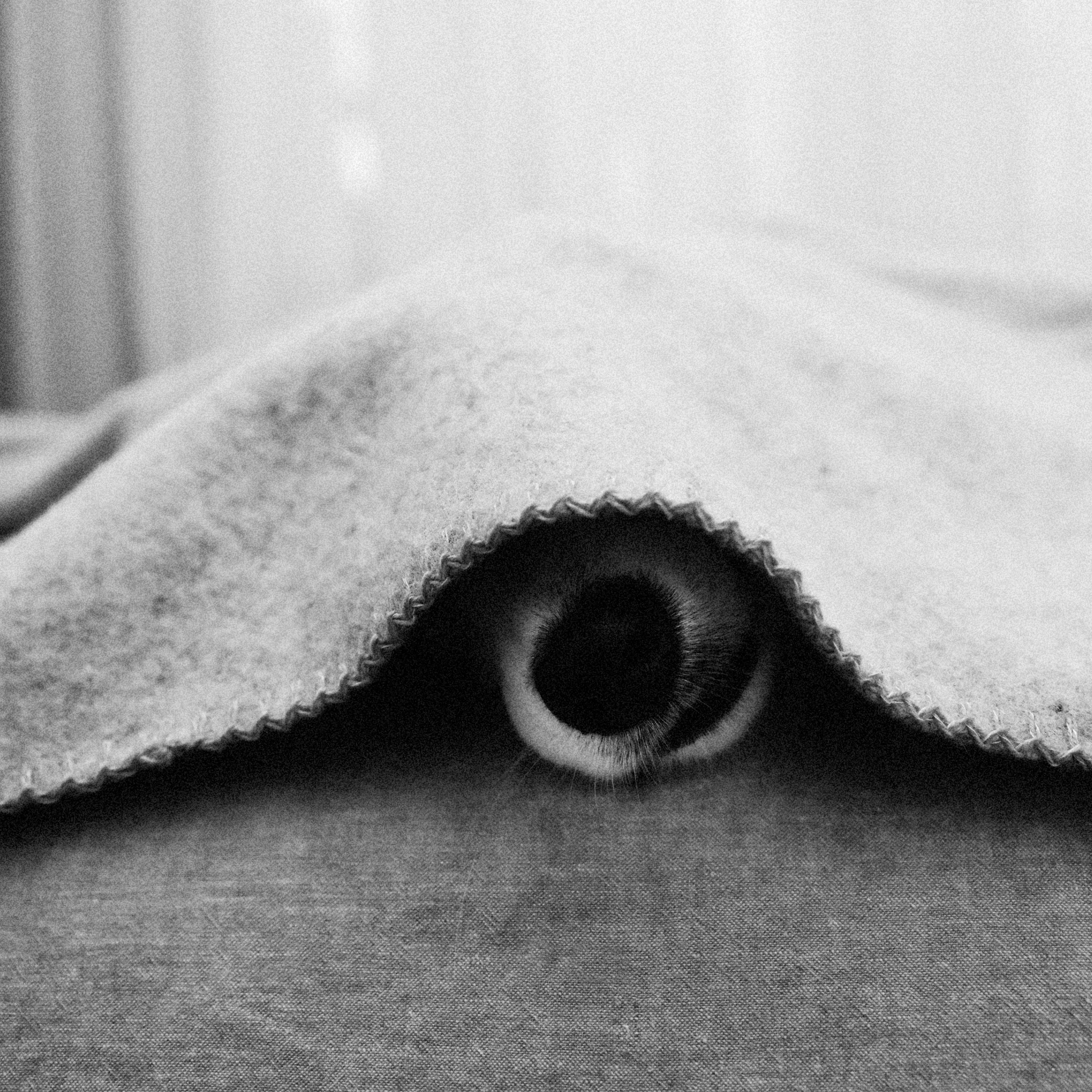 Large Recycled Wool Pet Blanket in Charcoal - Image 3